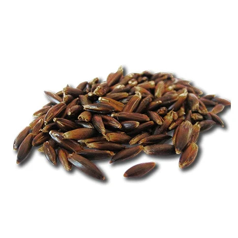 Pavo Schwarzhafer Black Oats, 20 kg