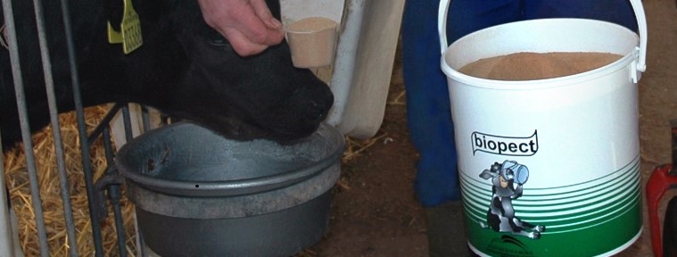Biopect® Diät-Ergänzungsfutter bei Verdauungsstörungen oder Durchfall, 5 kg
