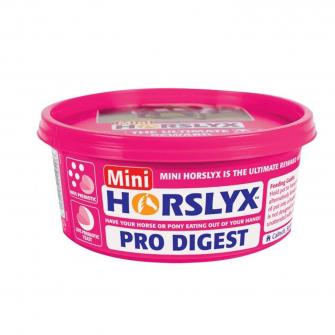 Derby® Horslyx Leckmasse für Pferde, Pro Digest, 650 g