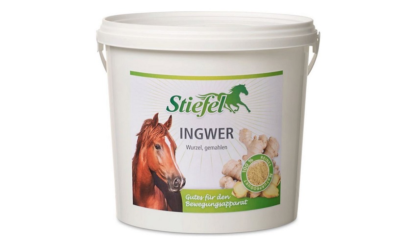 Stiefel Ingwer gemahlen, 1 kg