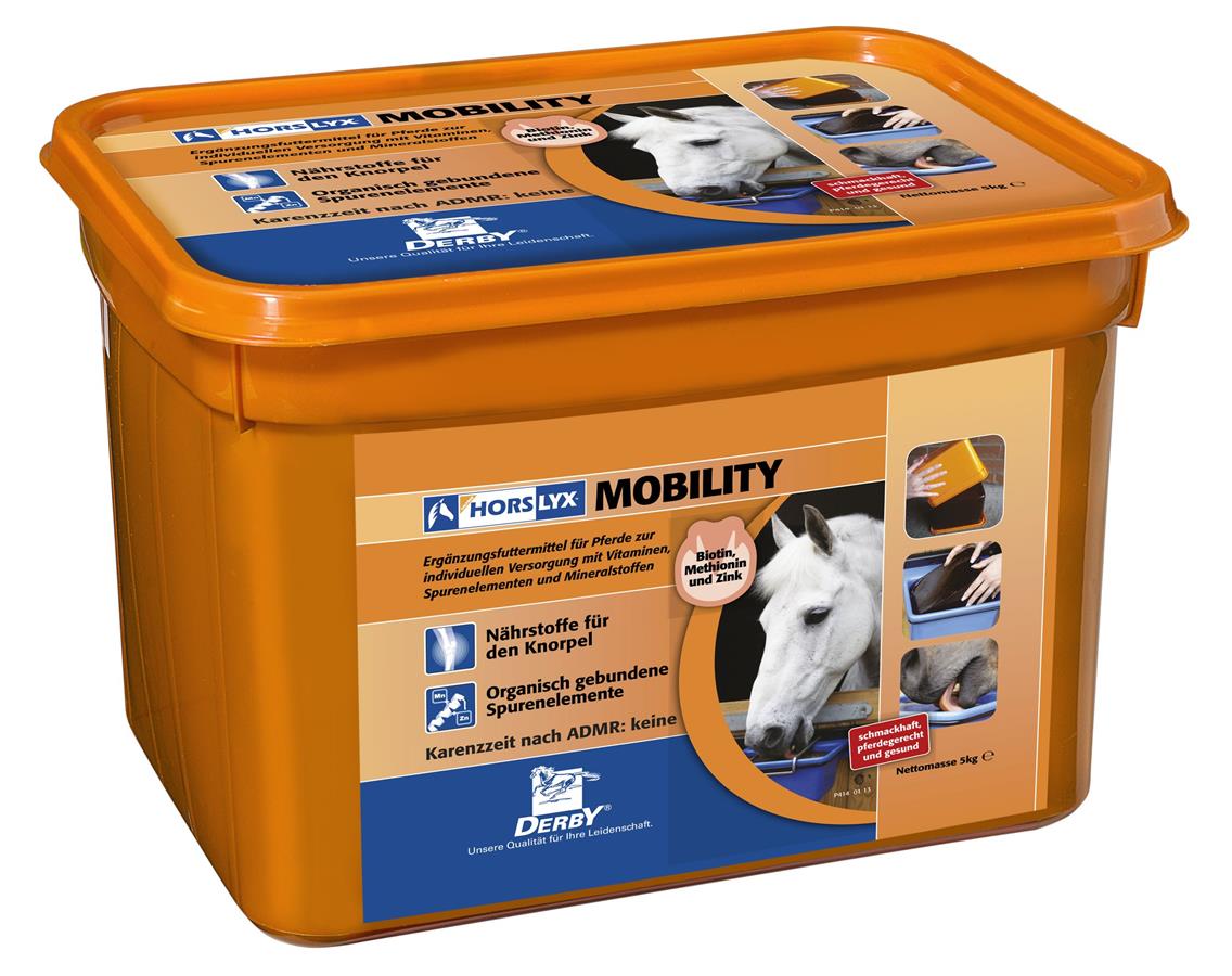 Derby® Horslyx Leckstein für Pferde, Mobility, 5 kg