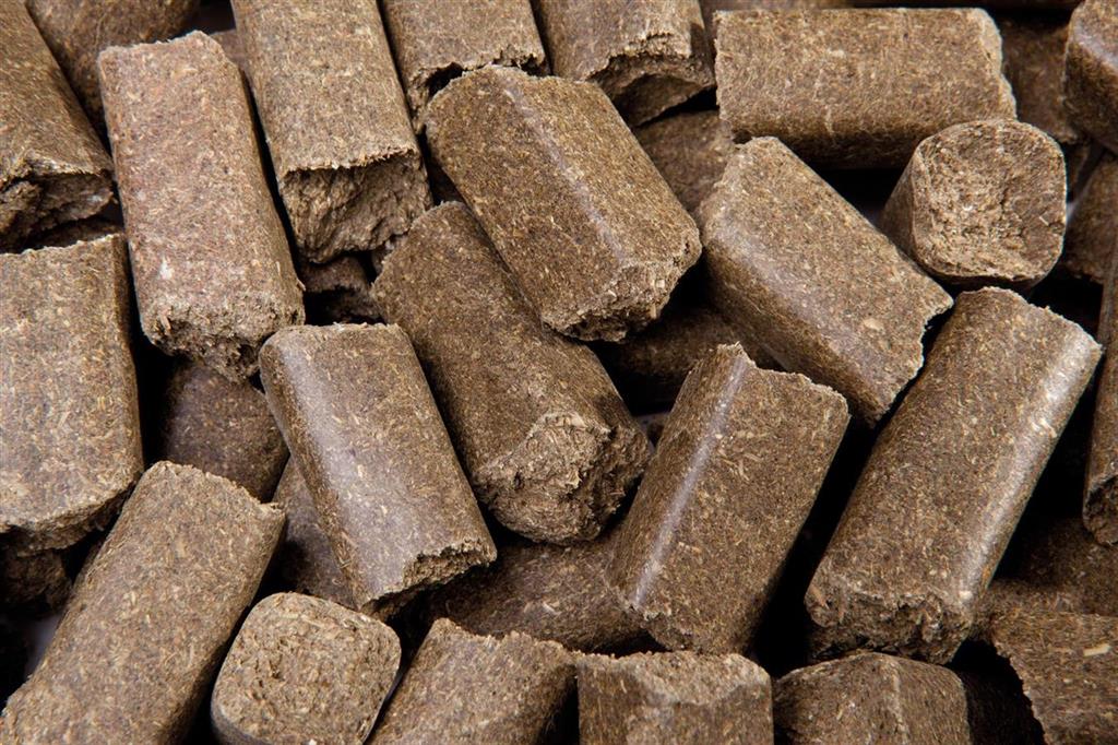 Eggersmann Lecker Bricks Kräuter, 1 kg