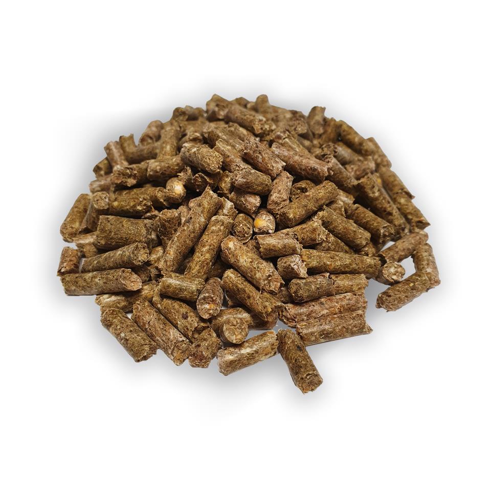 Palette Champ Kraftfutter Pferde (ScanFarm) 600 kg, 40x 15 kg