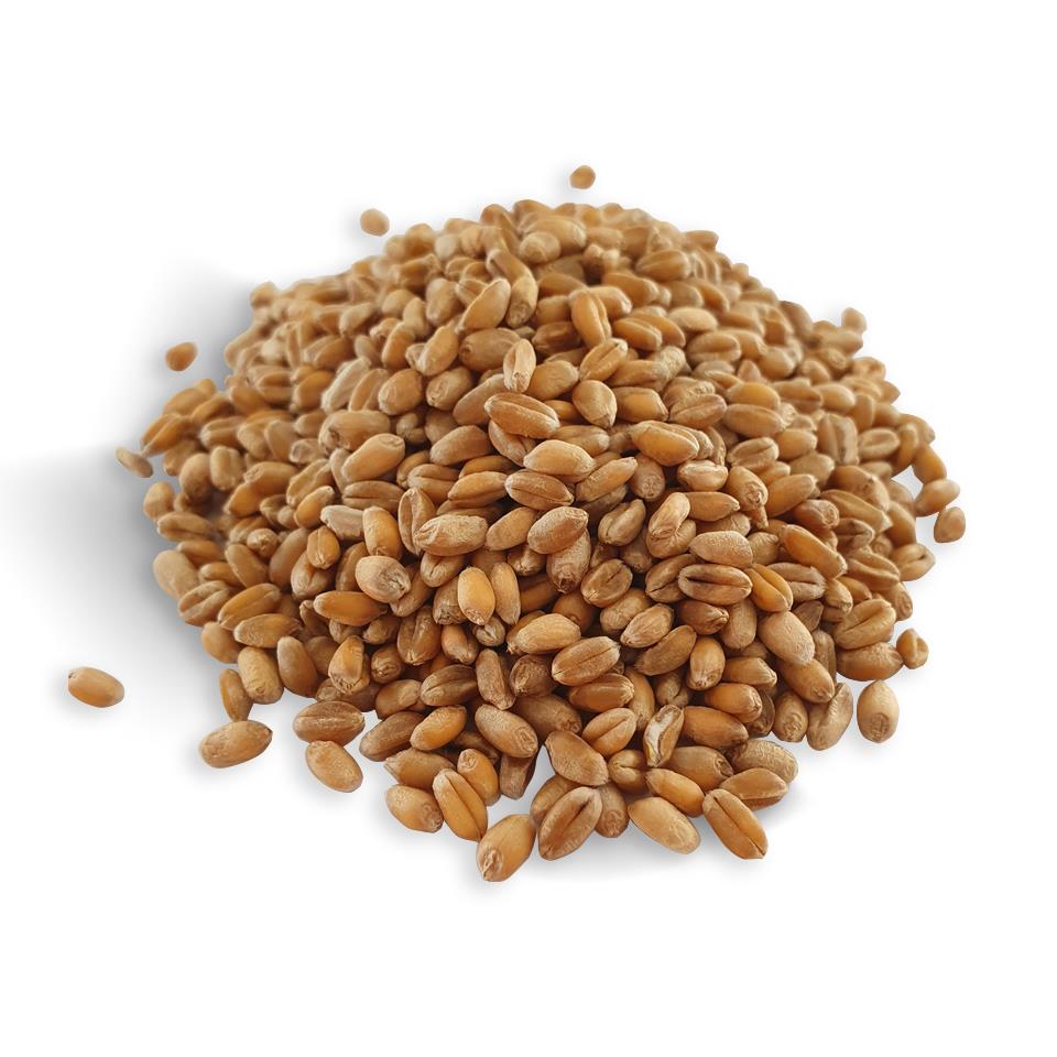 Futterweizen, 25 kg