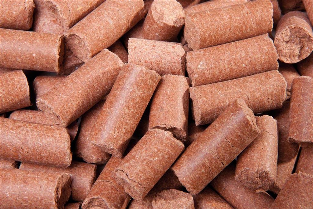 Eggersmann Lecker Bricks Karotte, 1 kg