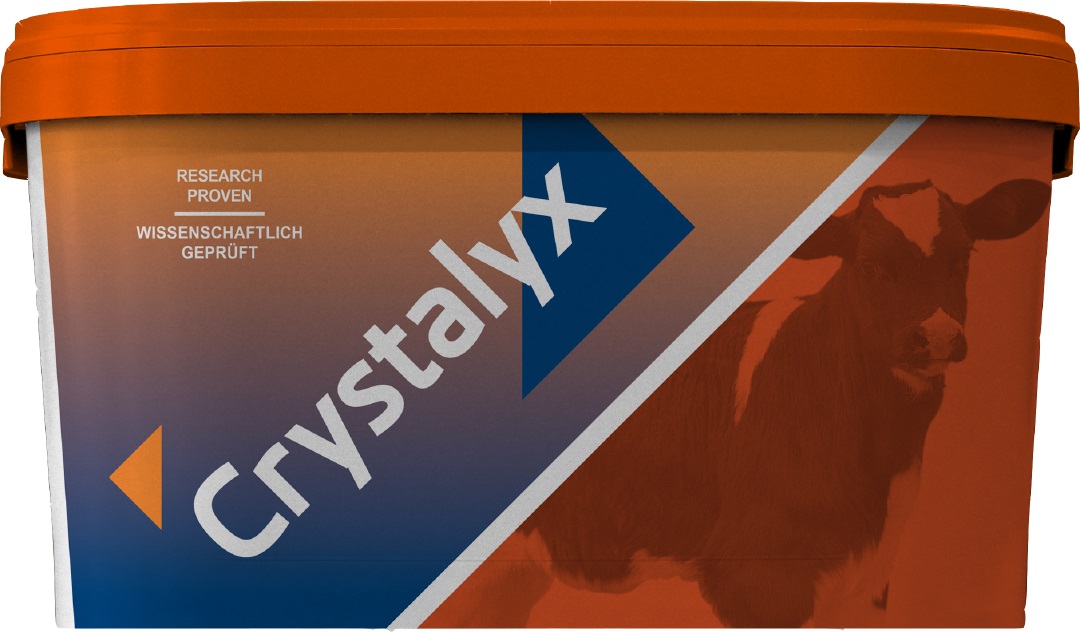 Crystalyx Mentholyx Orange Kälber, Schafe und Ziegen, 5 kg