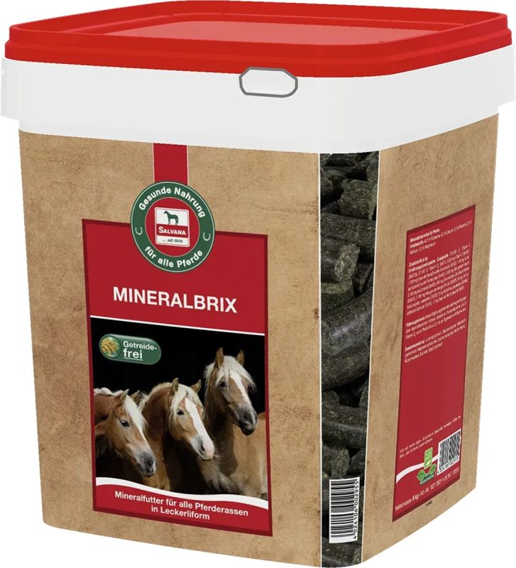 Salvana Mineralbrix, 8 Kg