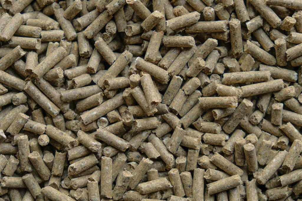 Champ Compact Pellet für Pferde GVO-frei, 25 kg