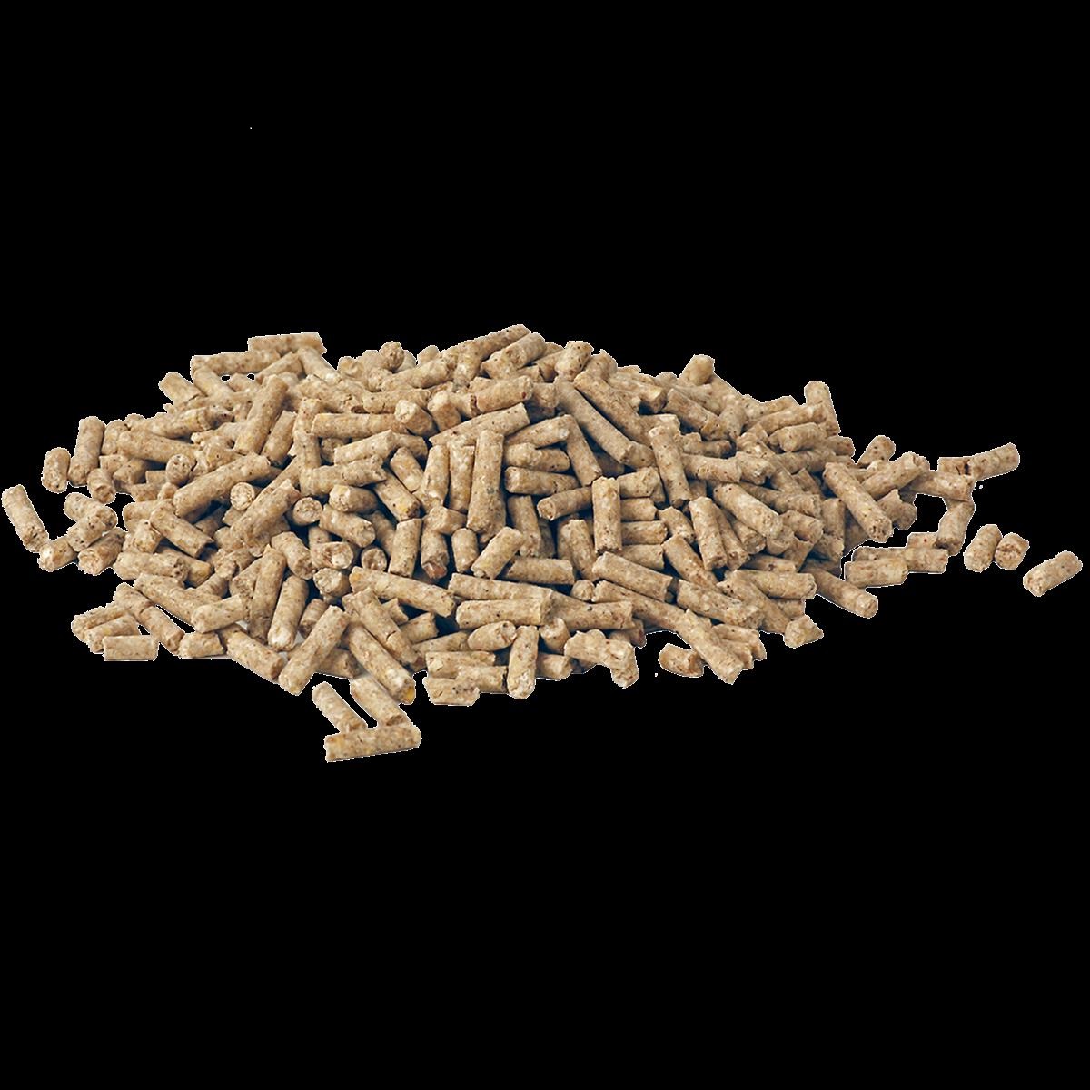 Salvana Favorit S, 25 Kg