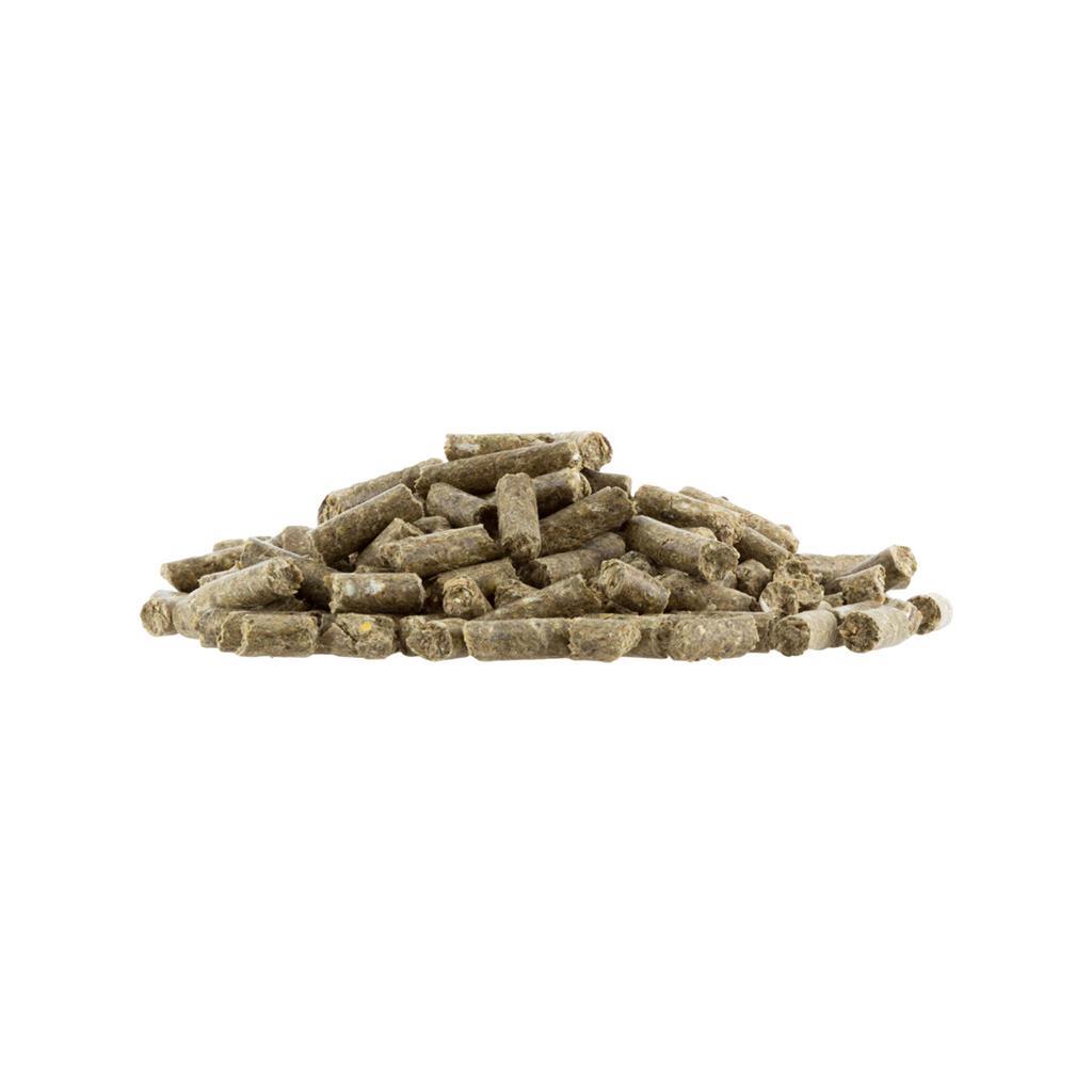 Champ Kraftfutter Pellets 15 kg (ScanFarm Kraftfutter Pferde, 15 kg) im Doppelpack, 2x 15 kg