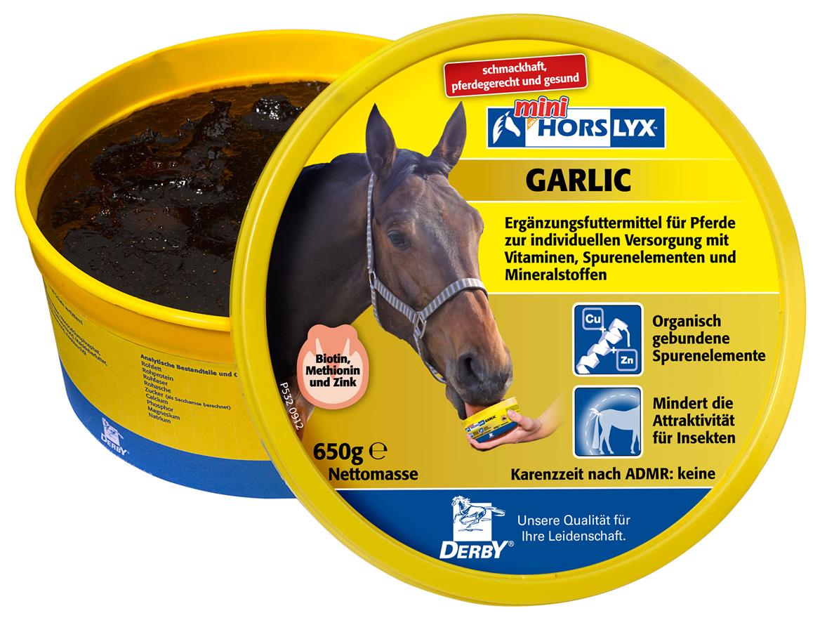Derby® Horslyx Leckmasse für Pferde, Garlic, 650 g