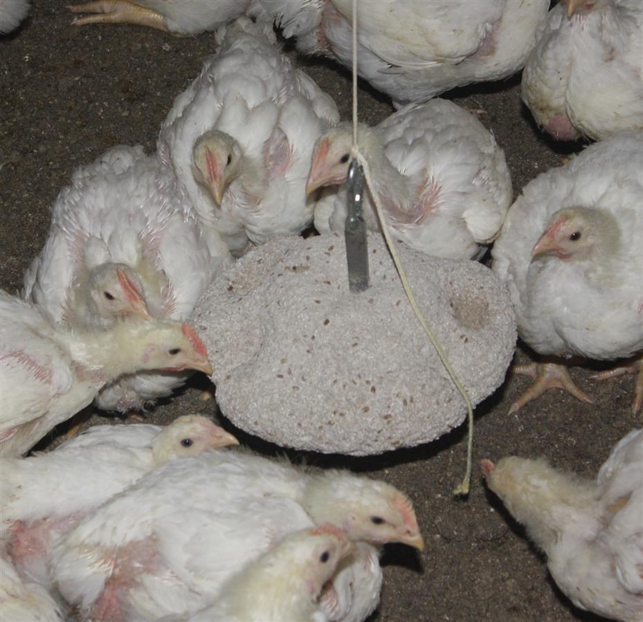 Vilofoss Pickstein medium für Geflügel, 8 kg
