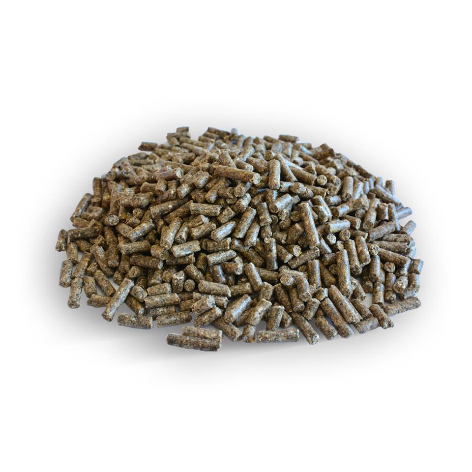 Champ Rinderfutter 19/3, 25 Kg