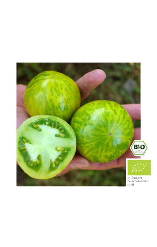 Culinaris Salattomate Green Zebra, 20 Korn