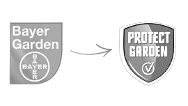 Bayer