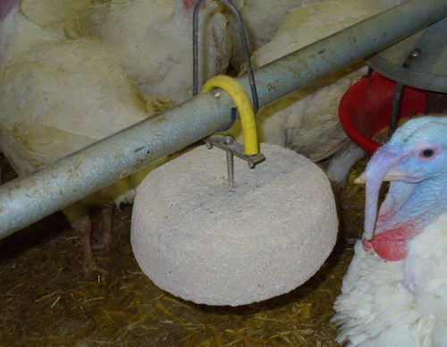 Vilofoss Pickstein extra hart  für Geflügel, 10 kg