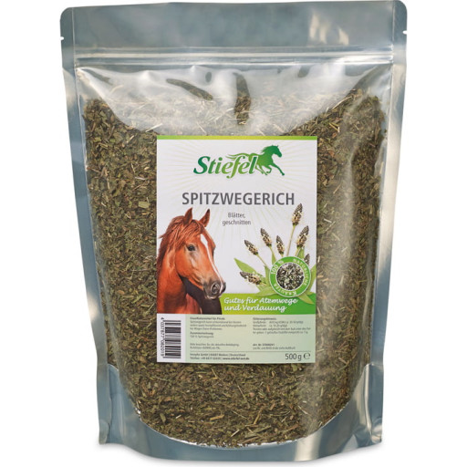 Stiefel Spitzwegerich,ges,500g
