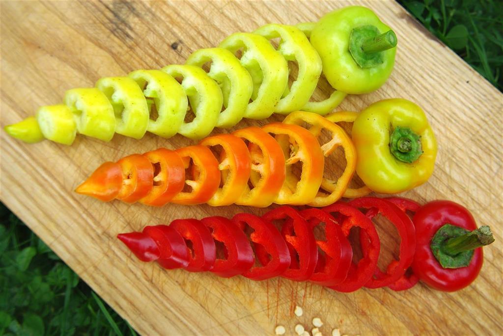 Culinaris Paprika Roter Augsburger, 20 Korn