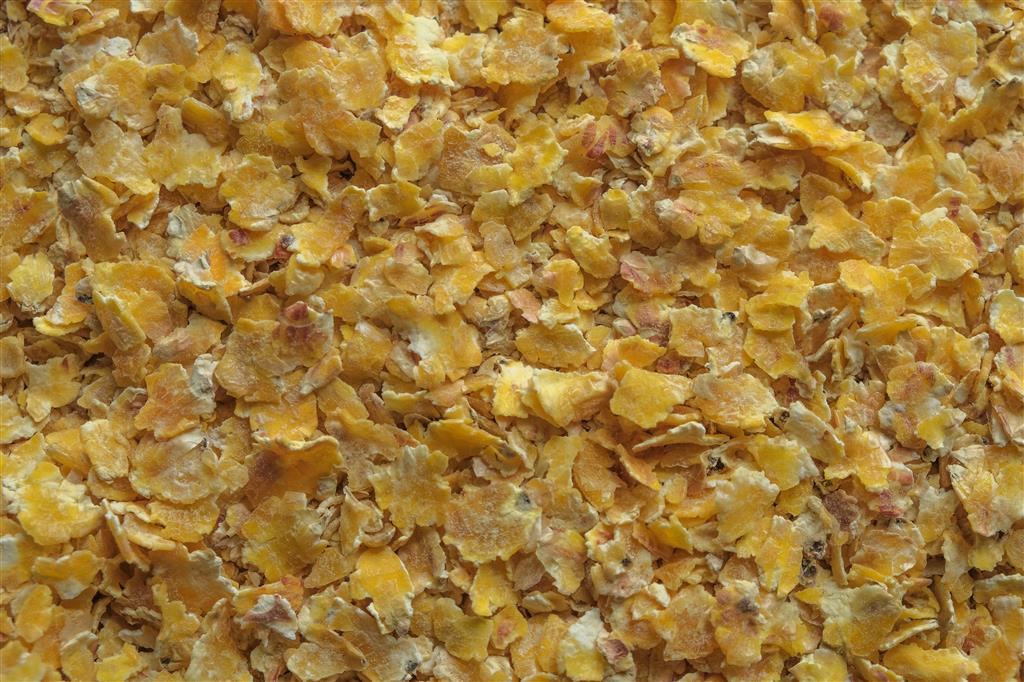 Champ Maisflocken Corn Flakes für Pferde, 15 kg