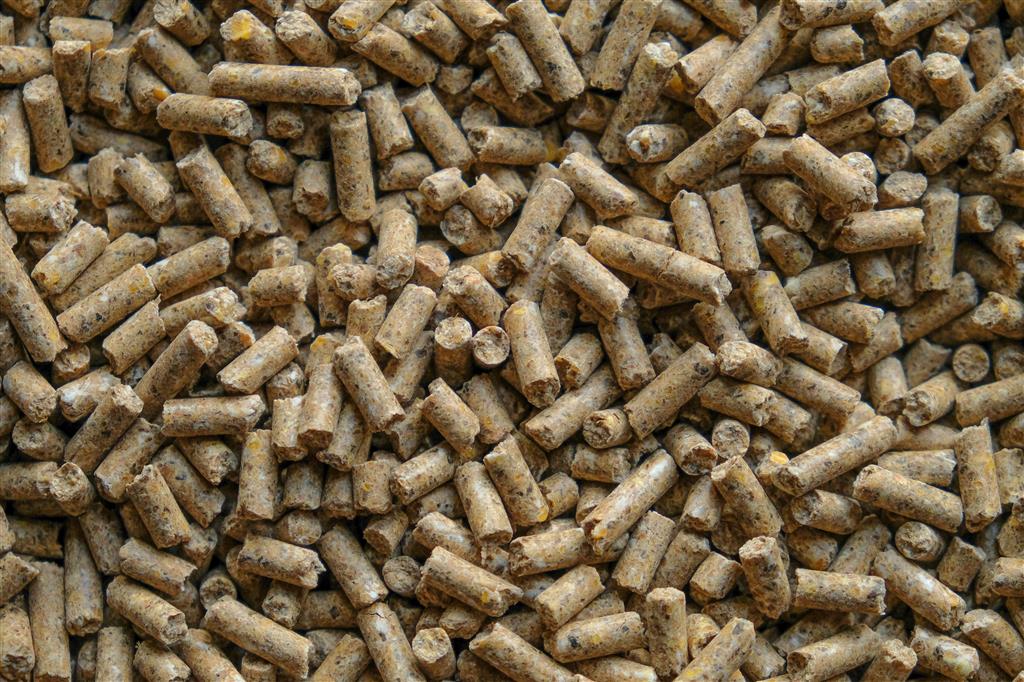 Champ Energy Sport- und Zuchtpellet GVO-frei, 25 kg
