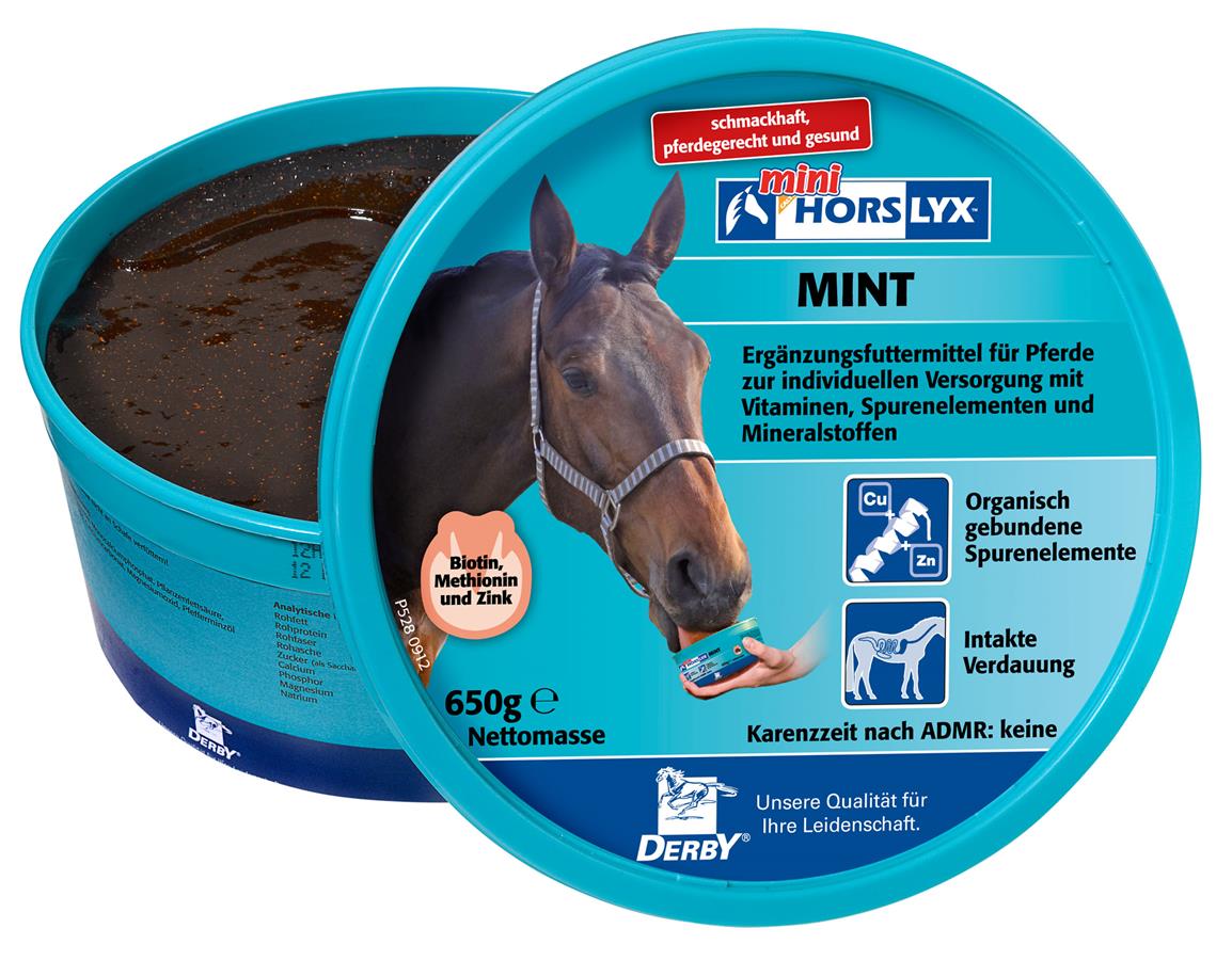 Derby® Horslyx Mint Leckstein für Pferde, 650 g