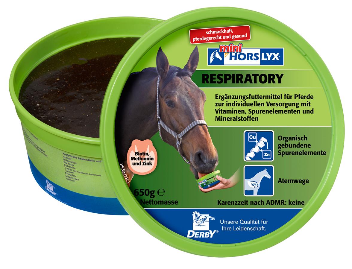 Derby® Horslyx Leckstein für Pferde, Respiratory, 650 g