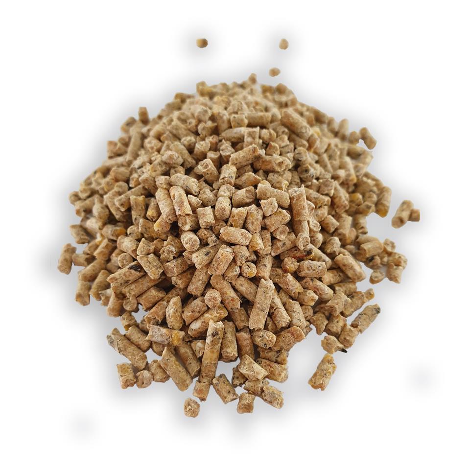 Palette Champ Legekorn für Geflügel 750 kg, 30x 25 kg