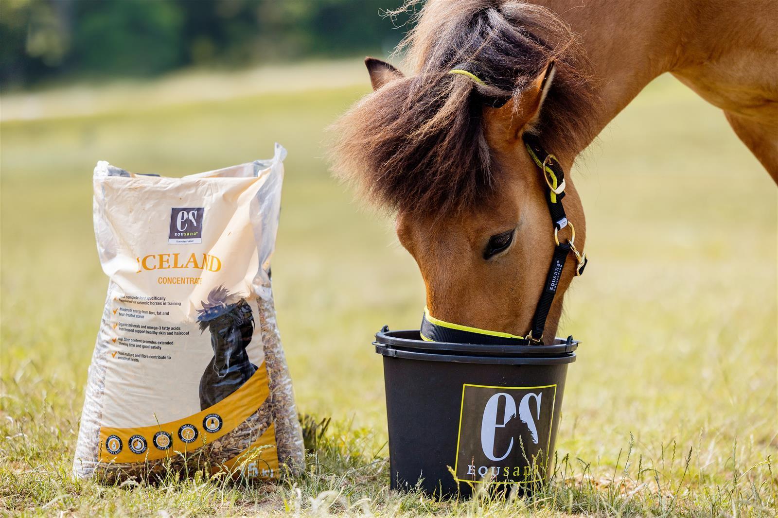 Equsana Iceland Müsli für Islandpferde, 15 kg