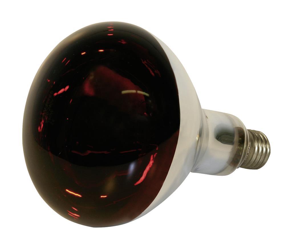 Kerbl Infrarotlampe, 250 W, Hartglas, rot